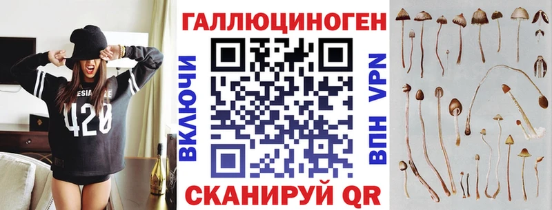 hydra ссылки Каспийск Псилоцибиновые грибы Psilocybe