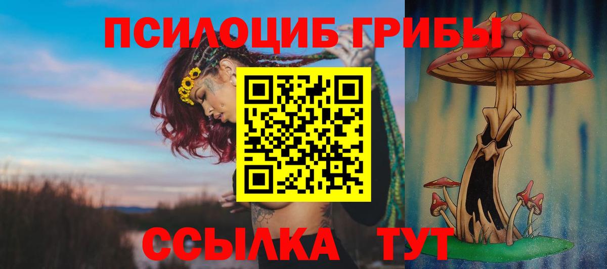 Псилоцибиновые грибы мицелий  Вход с VPN  Псилоцибиновые грибы GOLDEN TEACHER  Каспийск 
